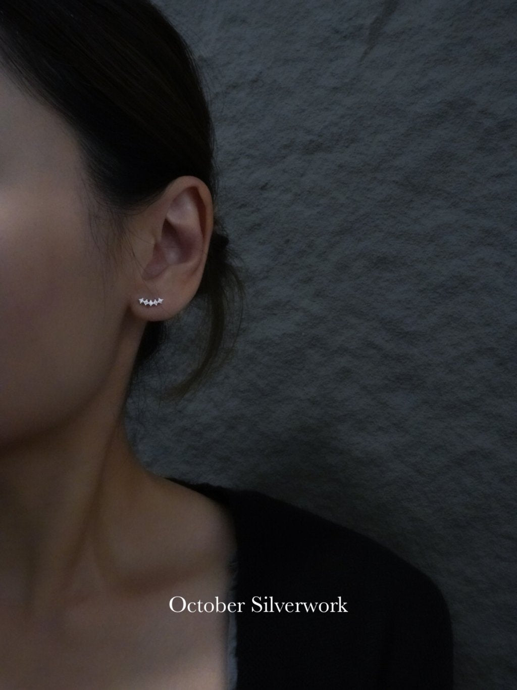 E1498 Smile Zircon Earrings