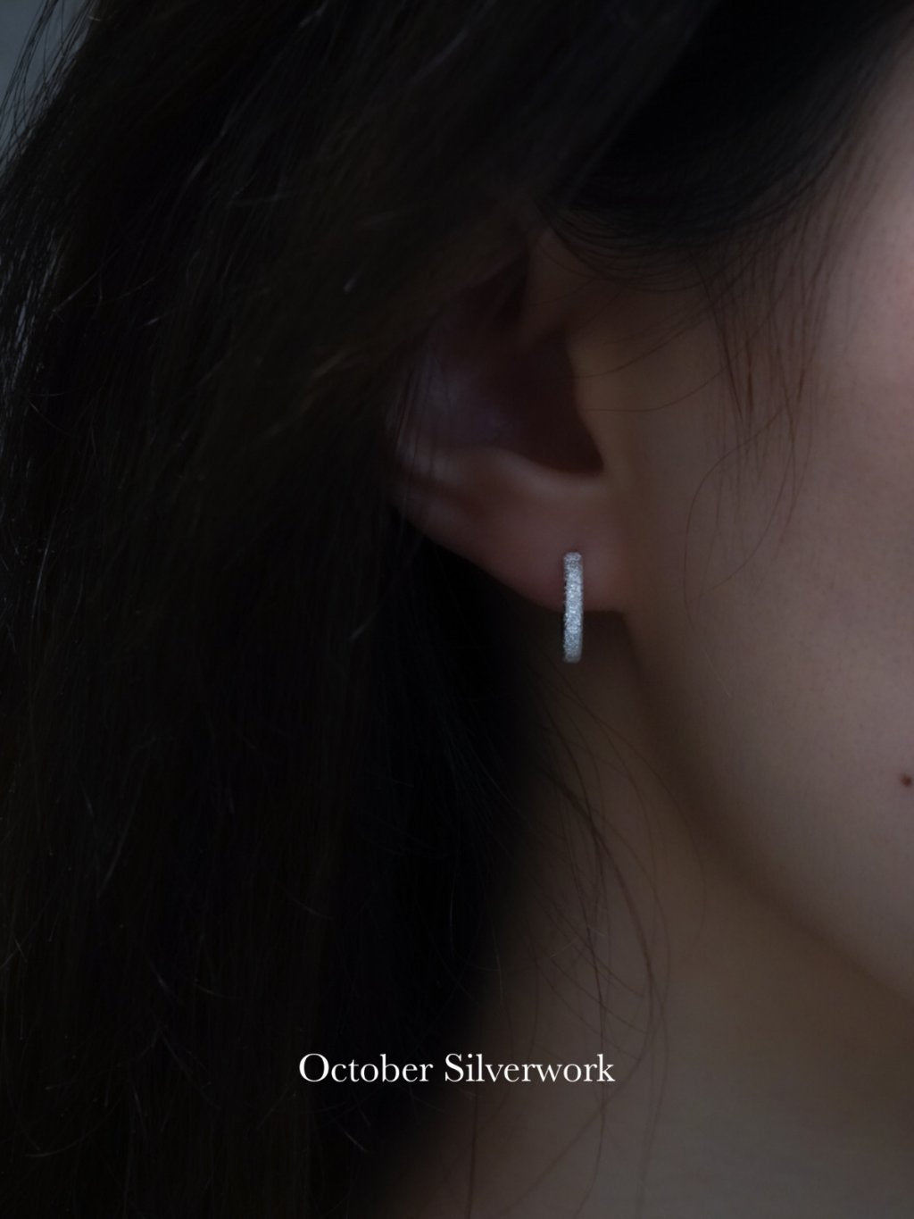 E1500 Shimmering Frosted Earrings